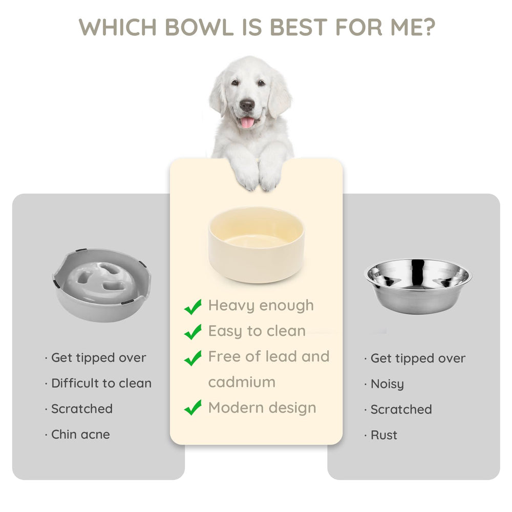 SPUNKYJUNKY 60oz ceramic dog-cat bowl beige dishwasher-safe close-up glaze for easy cleaning.