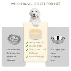 SPUNKYJUNKY 60oz ceramic dog-cat bowl beige dishwasher-safe close-up glaze for easy cleaning.