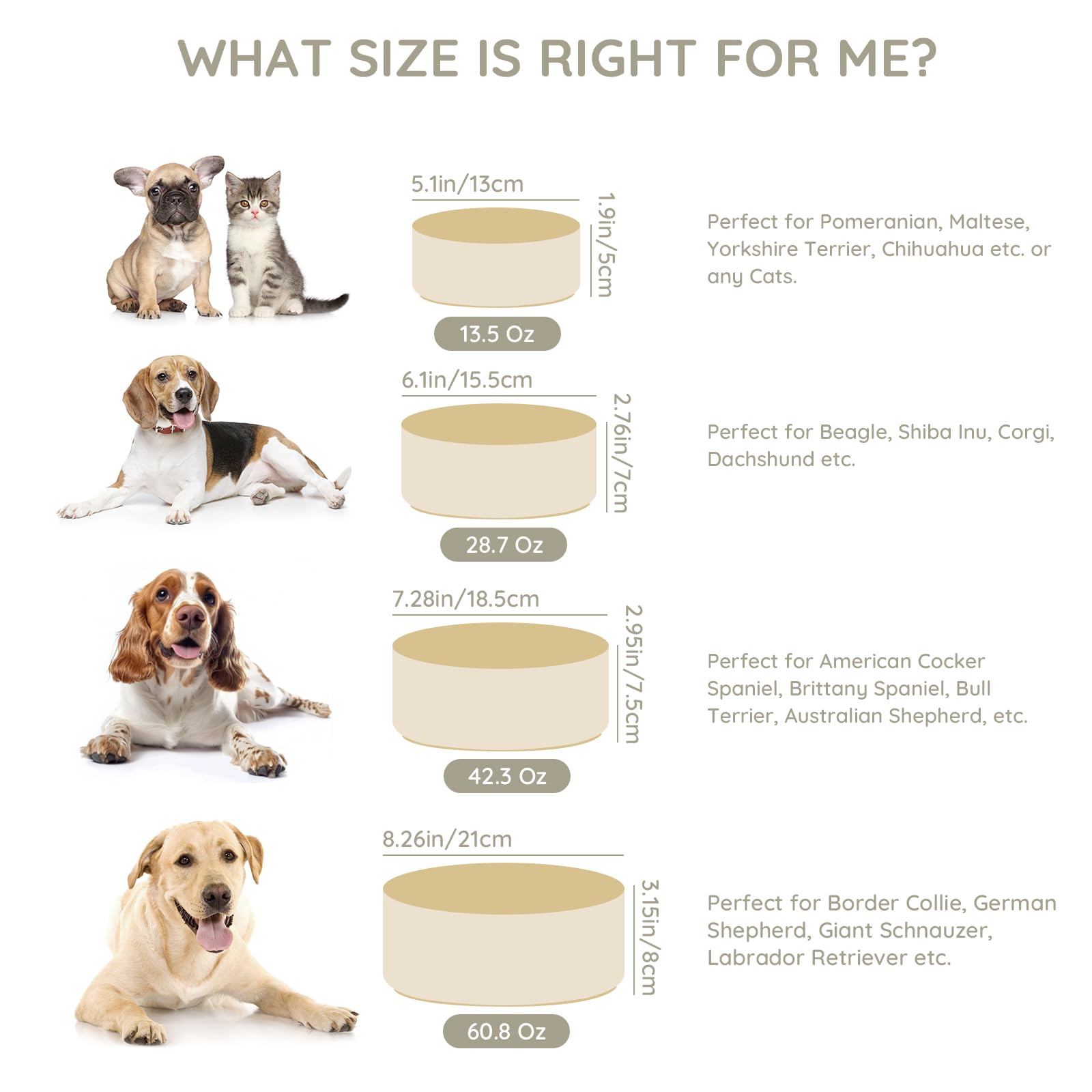 SPUNKYJUNKY 60oz ceramic dog-cat bowl beige in-use with pets during feeding.