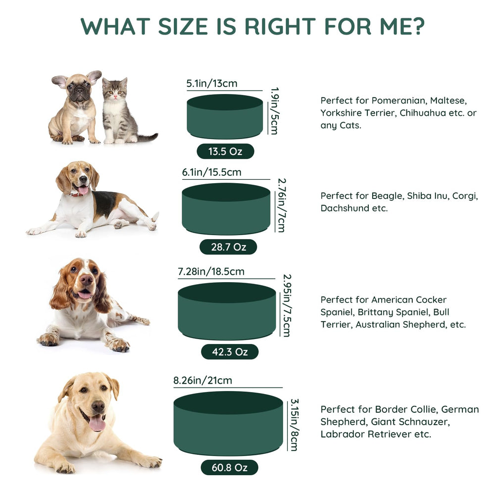 SPUNKYJUNKY bowls in green/blue/pink offer decor-friendly color variety for pets.