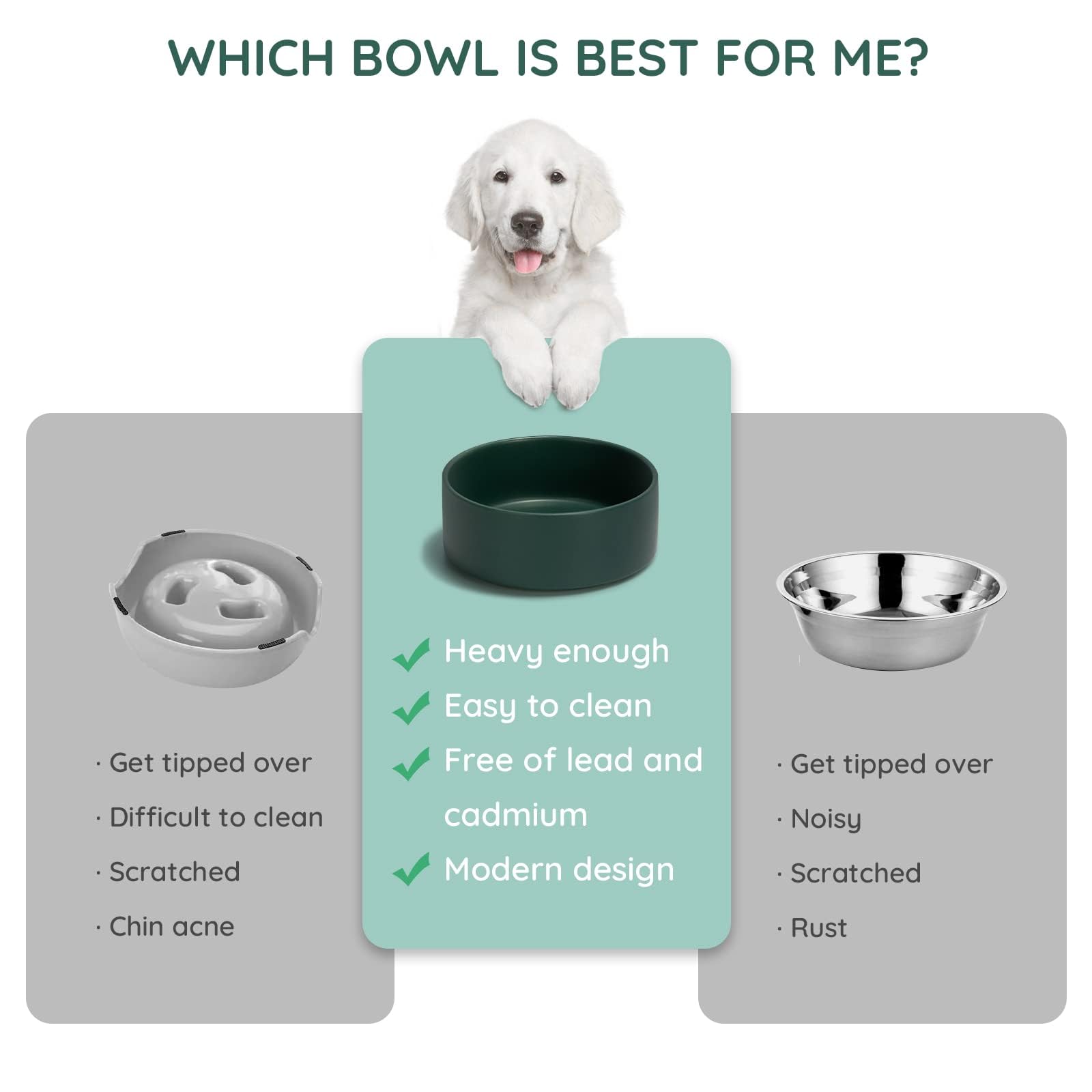 SPUNKYJUNKY bowl close-up shows a stable base preventing spills during meals.