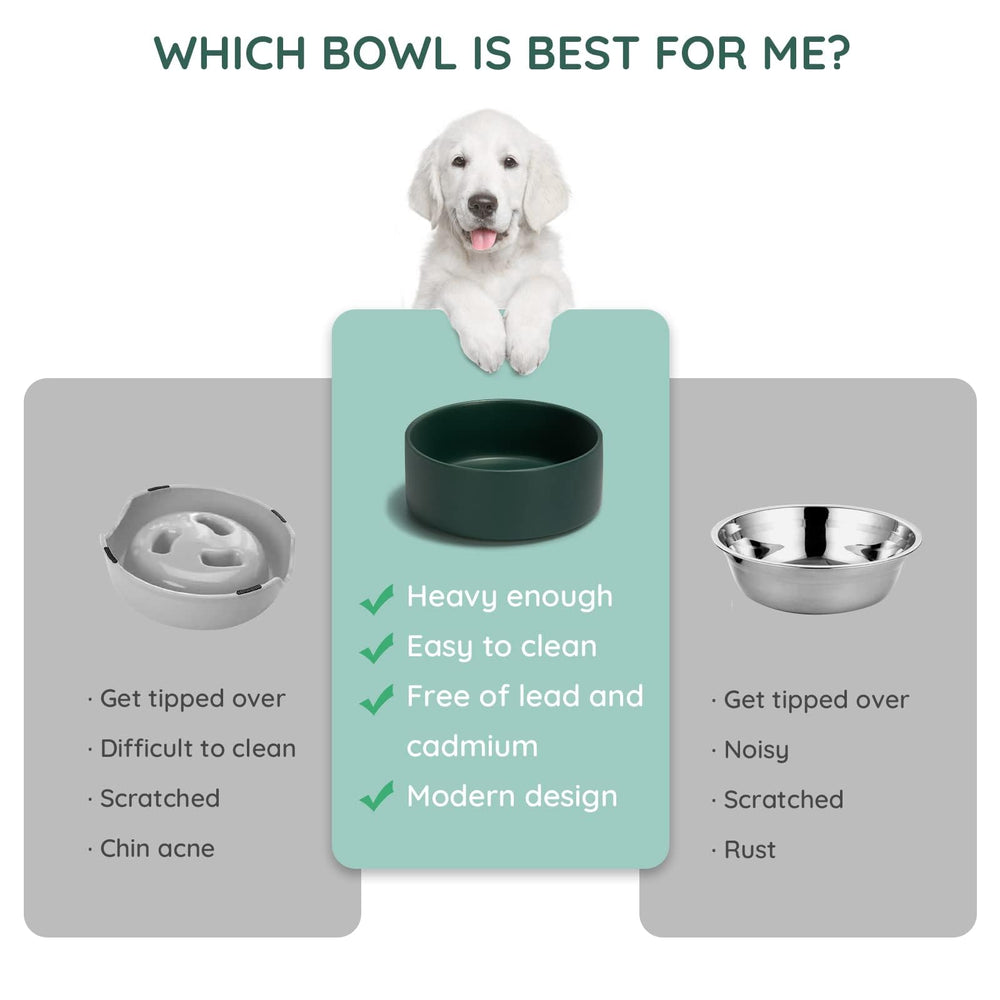 SPUNKYJUNKY bowl close-up shows a stable base preventing spills during meals.