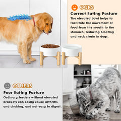 SPUNKYJUNKY ceramic bowls feature food-grade, easy-to-clean surfaces.