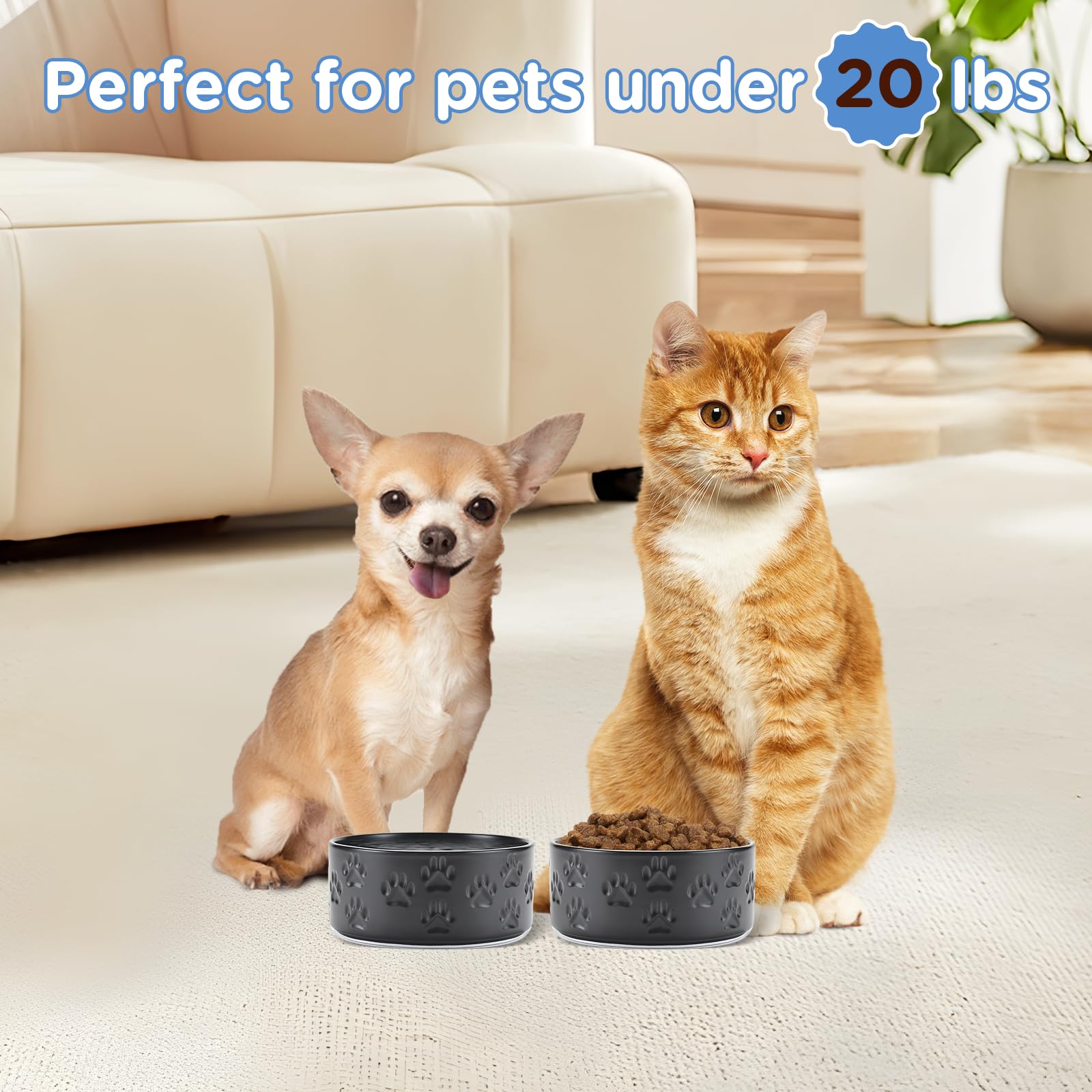 SPUNKYJUNKY paw-black color complements modern home decor.