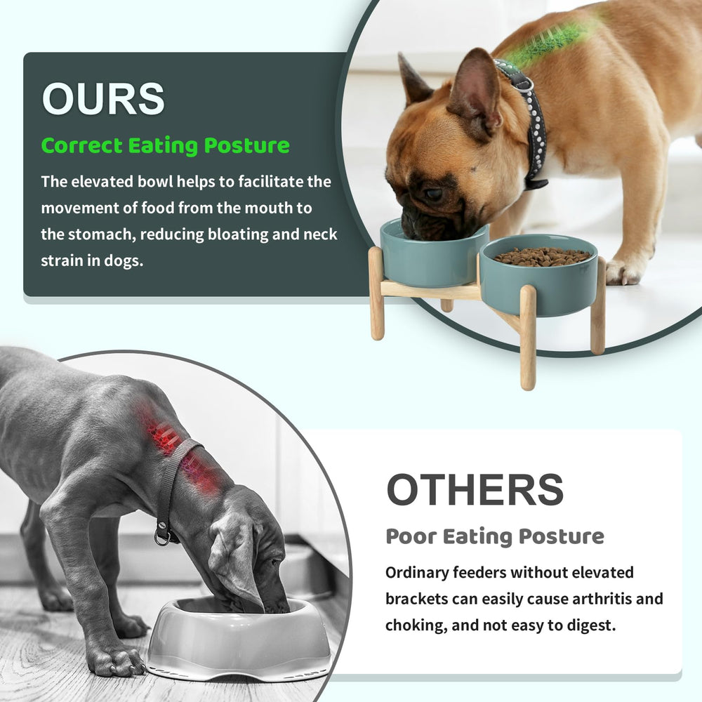 SPUNKYJUNKY food-grade ceramics are non-toxic and easy to clean for daily meals