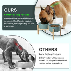 SPUNKYJUNKY food-grade ceramics are non-toxic and easy to clean for daily meals