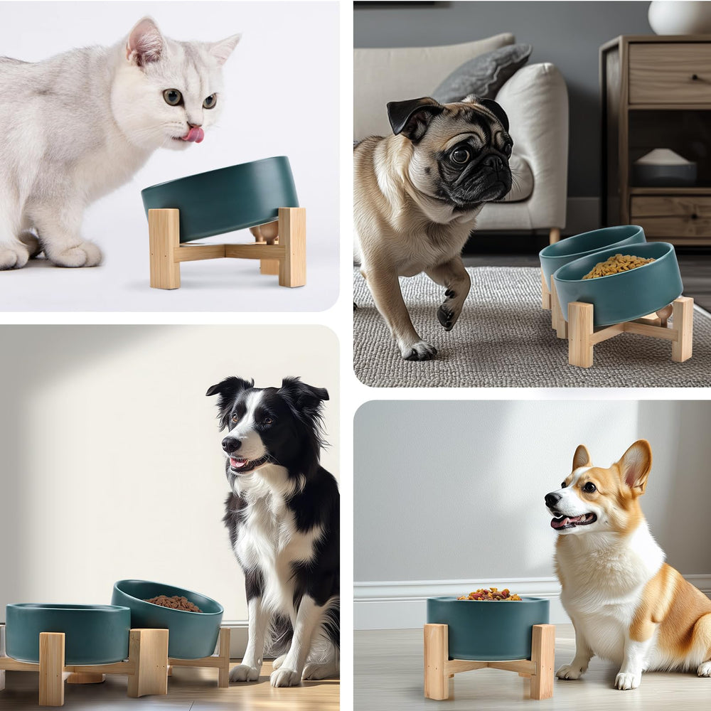 SPUNKYJUNKY green-bowl-pack for multi-pet households