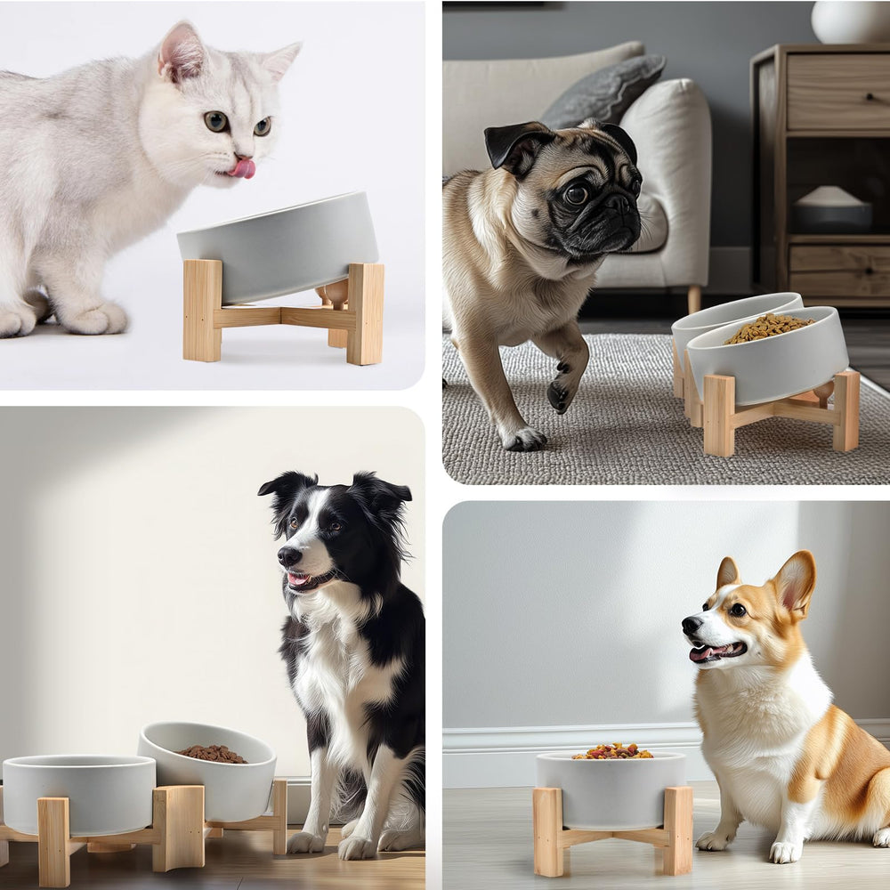 SPUNKYJUNKY nonspill design supports tidy meals