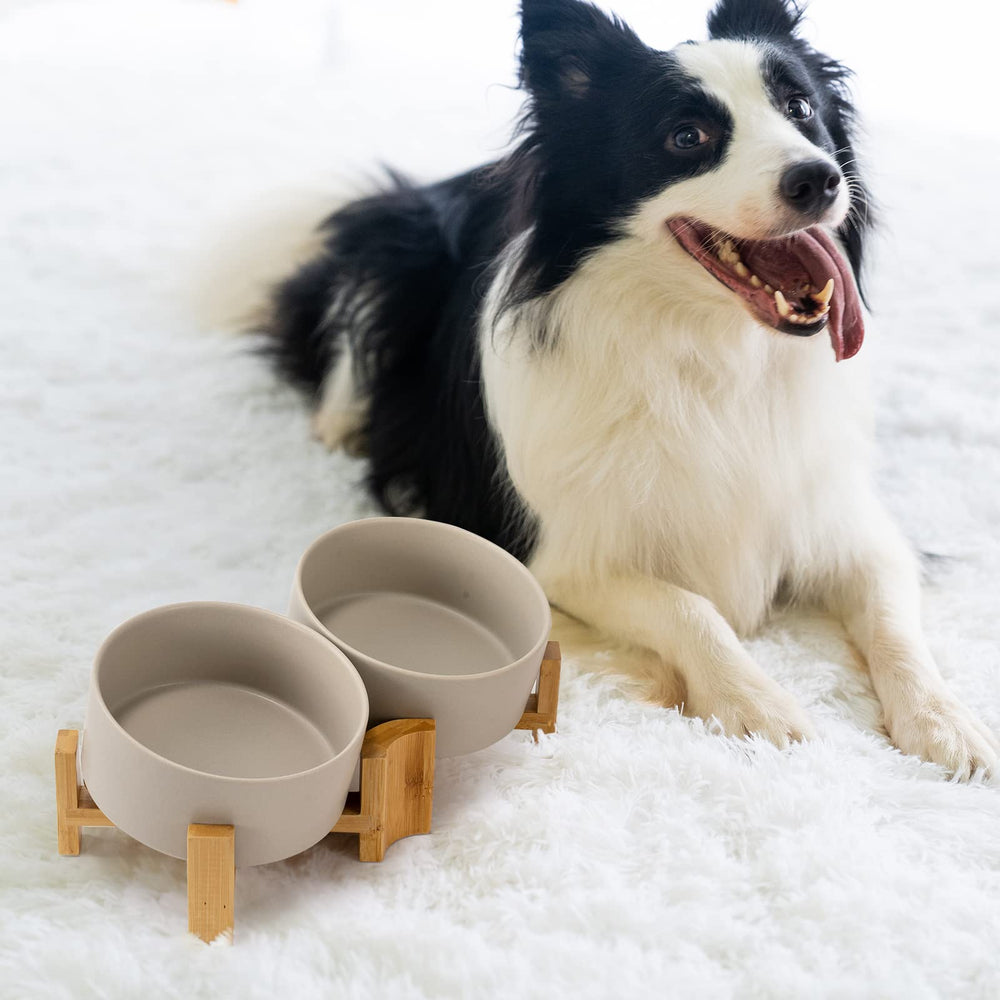 SPUNKYJUNKY pet meal setup illustrating versatile use at home