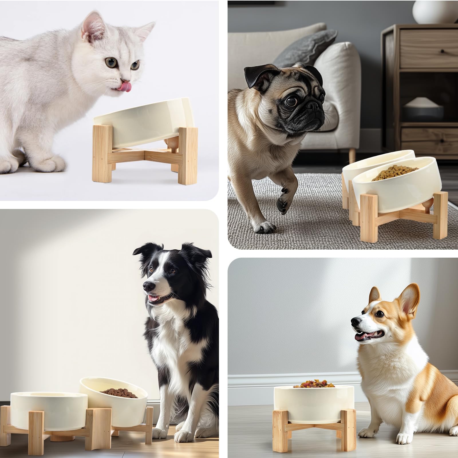 SPUNKYJUNKY pets dining scene demonstrates tidy, stress-free mealtime.