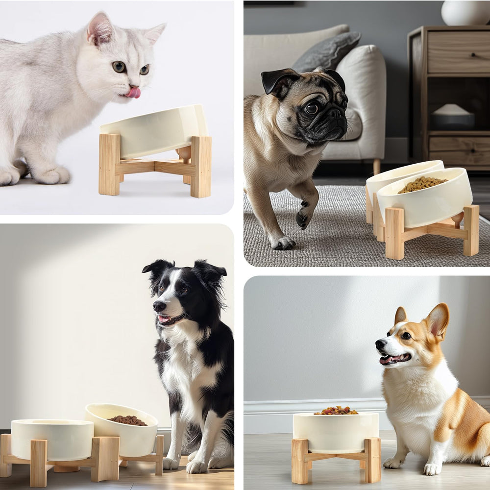 SPUNKYJUNKY pets dining scene demonstrates tidy, stress-free mealtime.