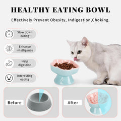 S&Q'S CERAMICS elevated tilt bowl on a dining setup demonstrates neck-friendly slow feeding for cats.