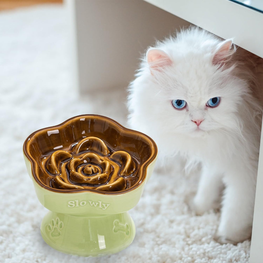 S&Q'S CERAMICS for dry and wet food brown-06 versatile feeding
