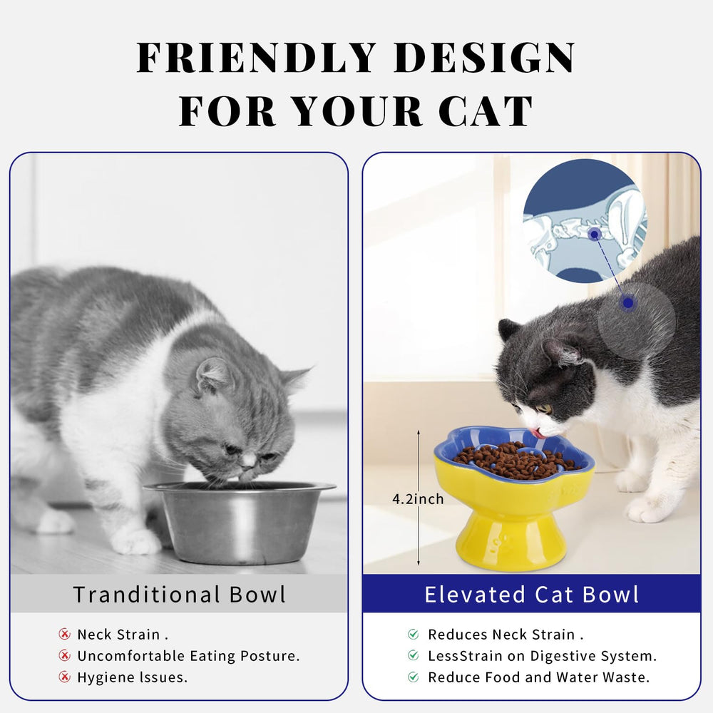 S&Q'S CERAMICS meal-time with dry and wet food is easy to clean and safe.