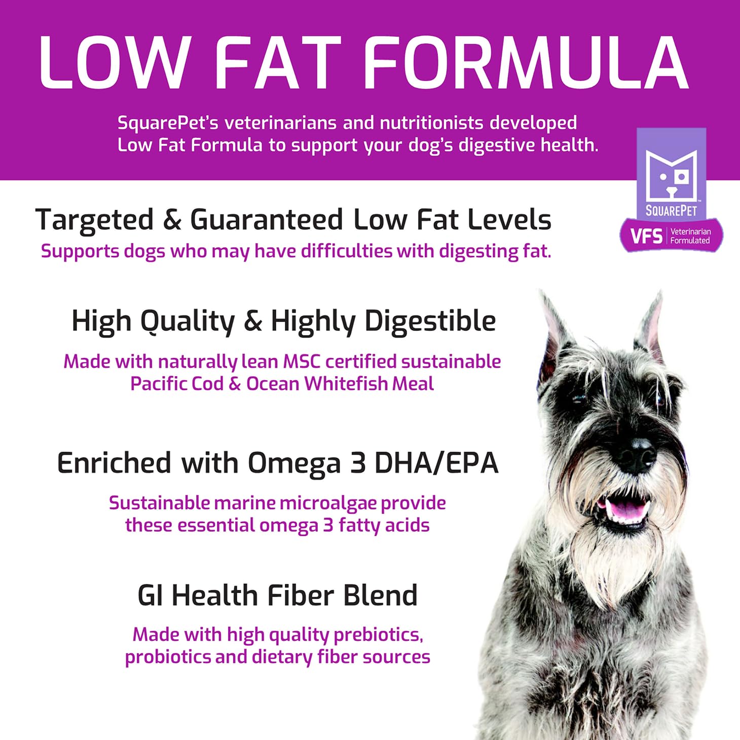 SquarePet VFS dry dog food in a serving bowl ready for healthy meals.