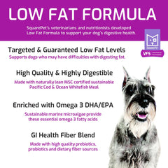 SquarePet VFS dry dog food in a serving bowl ready for healthy meals.