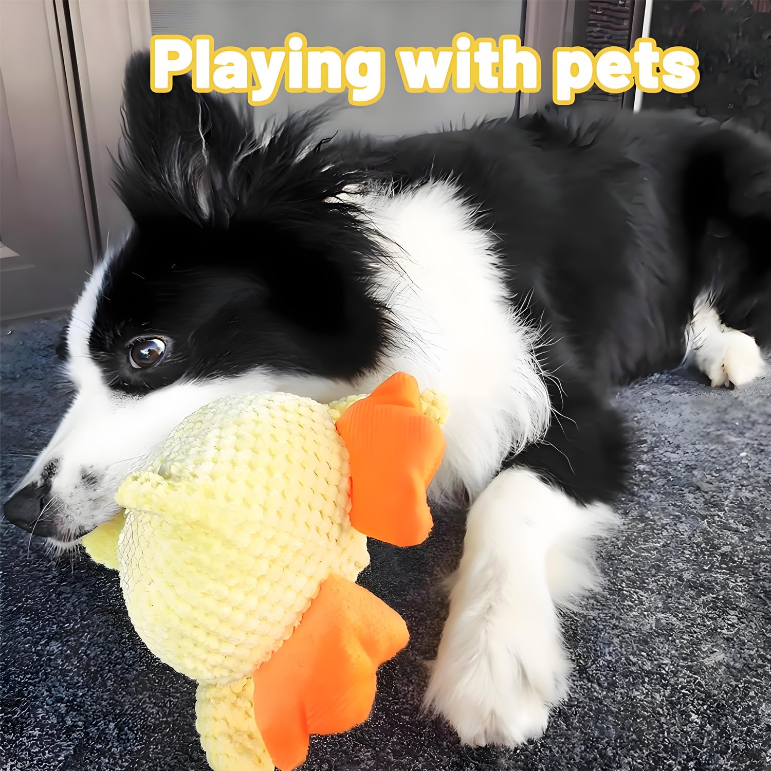 Squeaky Plush Duck Toy dog cat use suitable for both during interactive time.