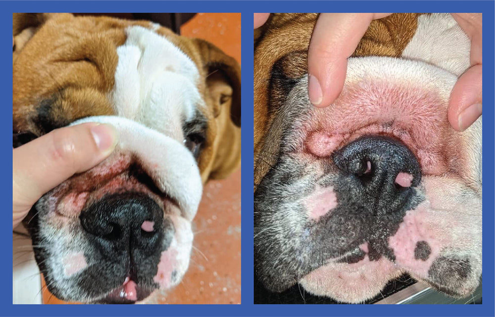 Squishface Wrinkle Paste comes in a 2 oz container for easy, portable care.