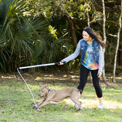 Squishy Face Studio Flirt Pole V2 with two lures promotes chase and fetch sessions.