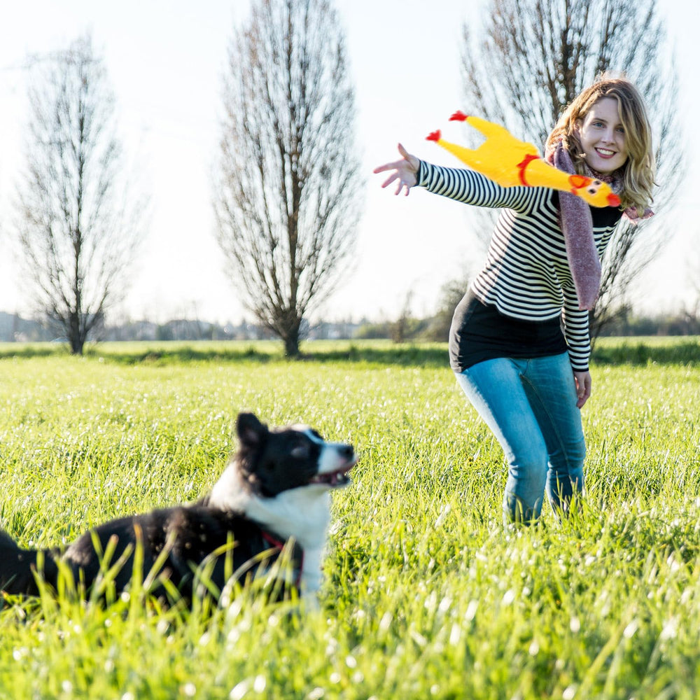 Sratte durable rubber chicken toy—sturdy squeaker for long-lasting pet play sessions