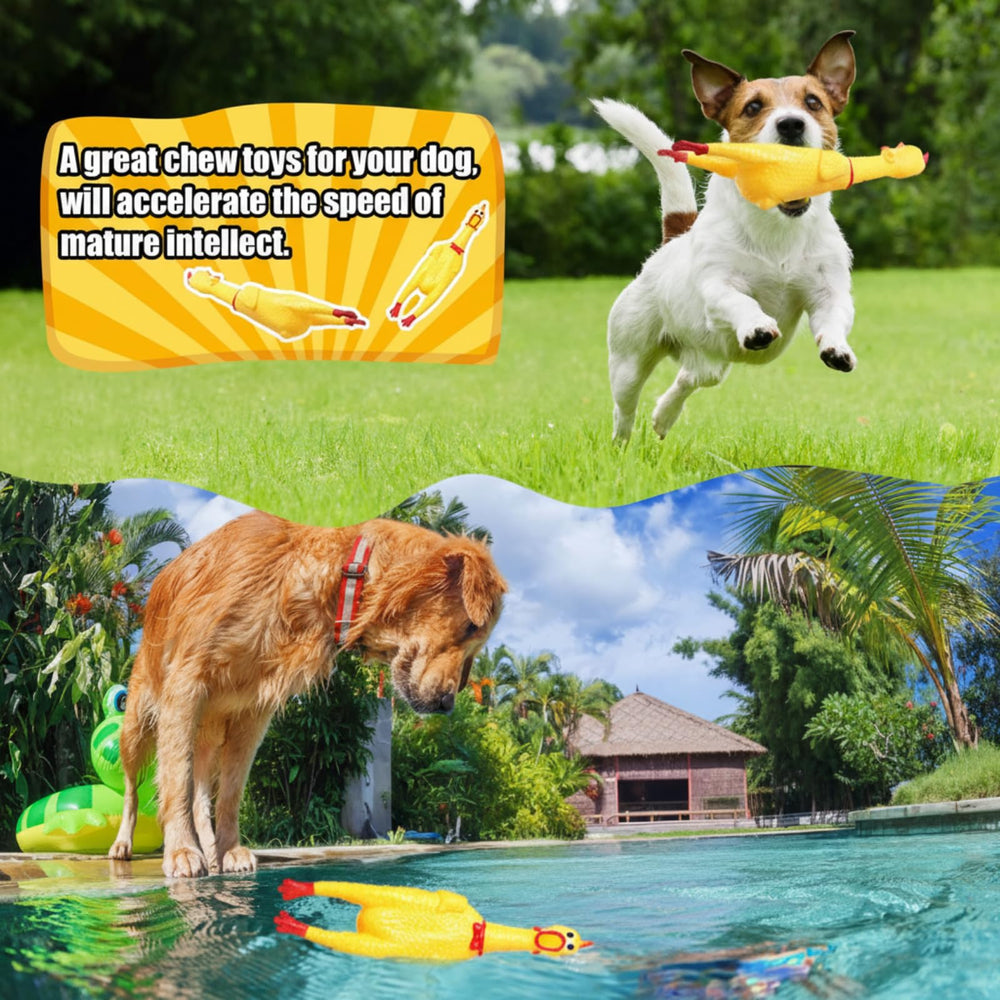 Sratte dog-friendly squeaker attracts pets during play