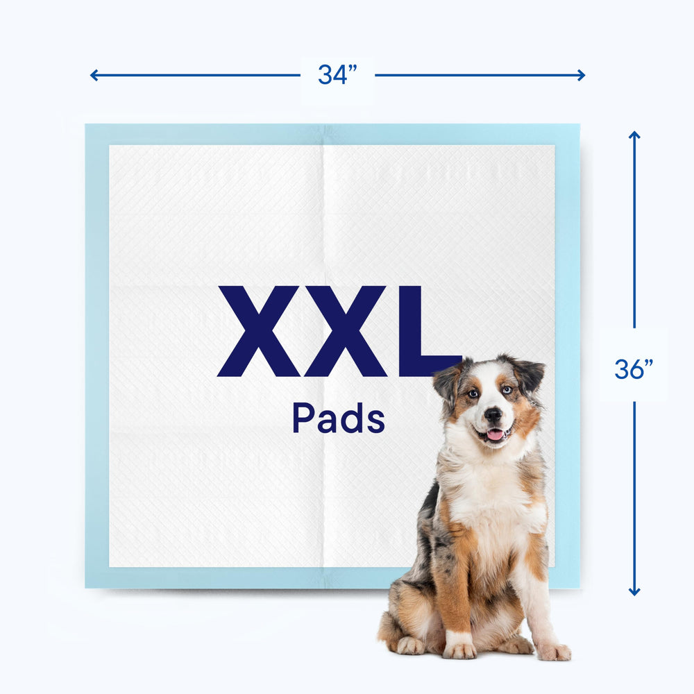 Stack Man disposable pads offer easy cleanup after accidents.