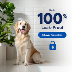 Stack Man leak-proof dog pad uses protective film to guard floors.