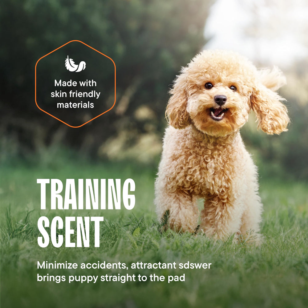 Stack Man odor-control pads help minimize smells during training.