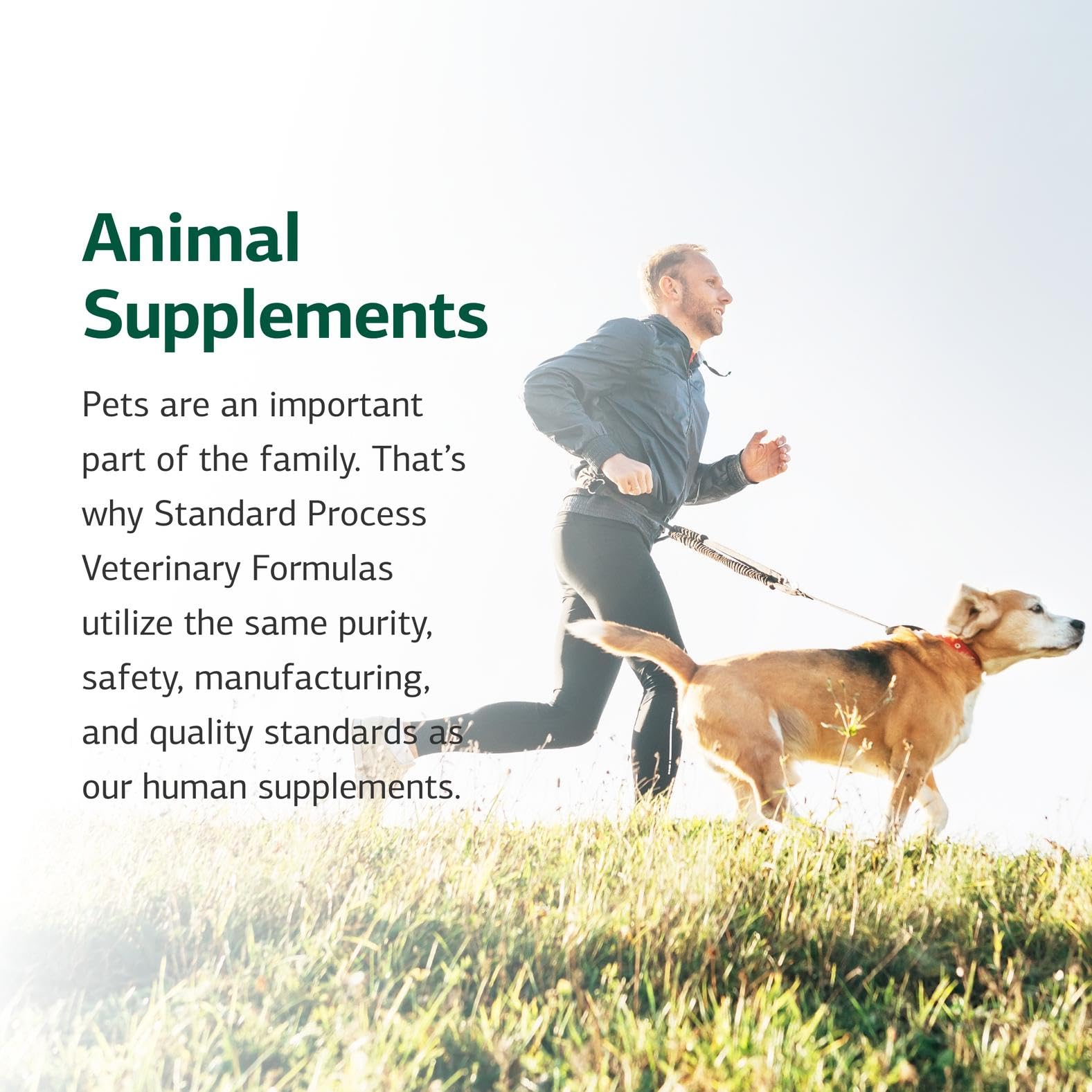 Standard Process Brand History 95 Years highlights trusted nutritional supplements.