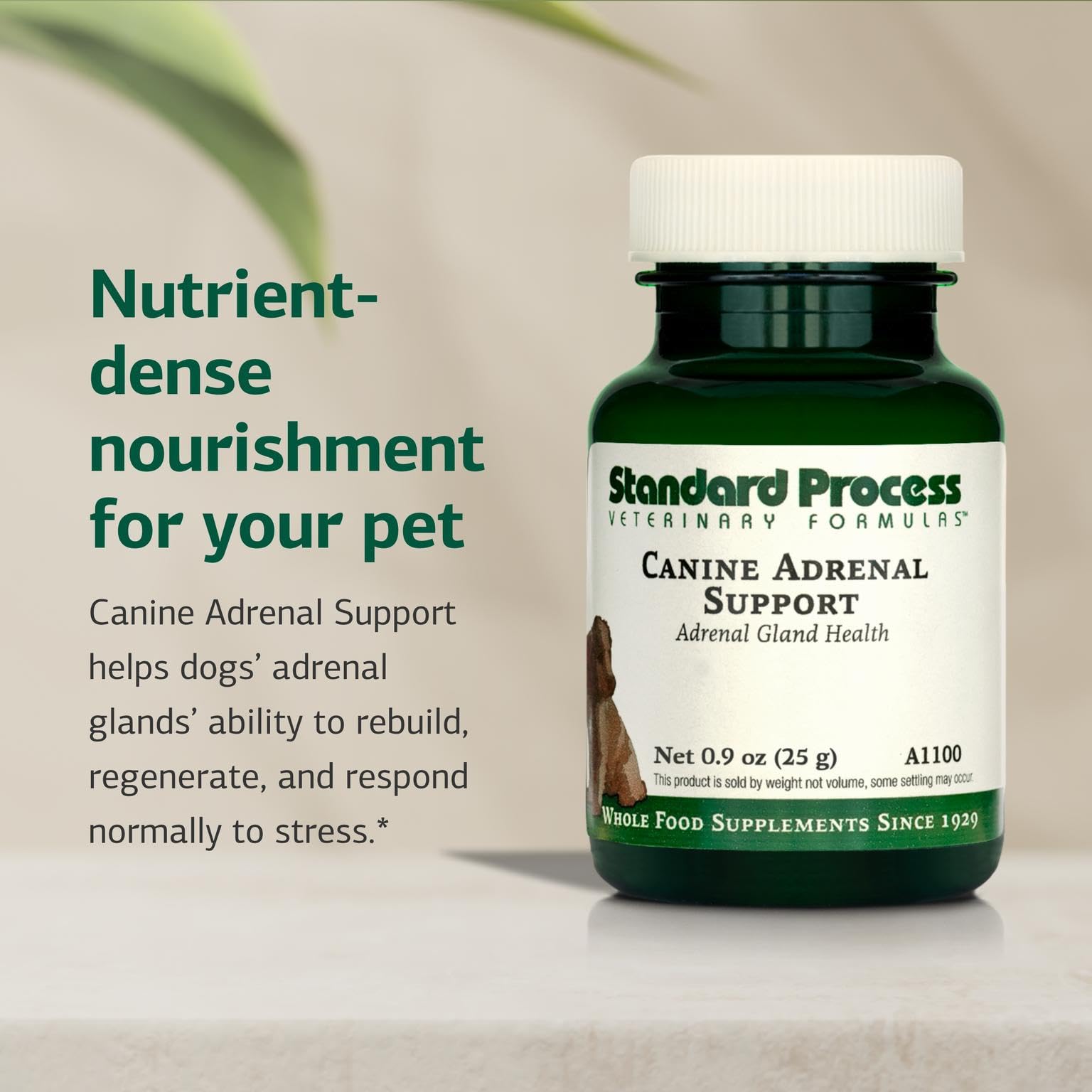 Standard Process Canine Adrenal Support label close-up shows natural ingredients for adrenal health.
