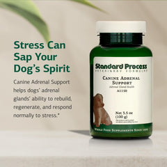 Standard Process Canine Adrenal Support powder closeup highlights natural ingredients.