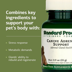 Standard Process Canine Adrenal Support powder in dog bowl supports daily supplementation routine.