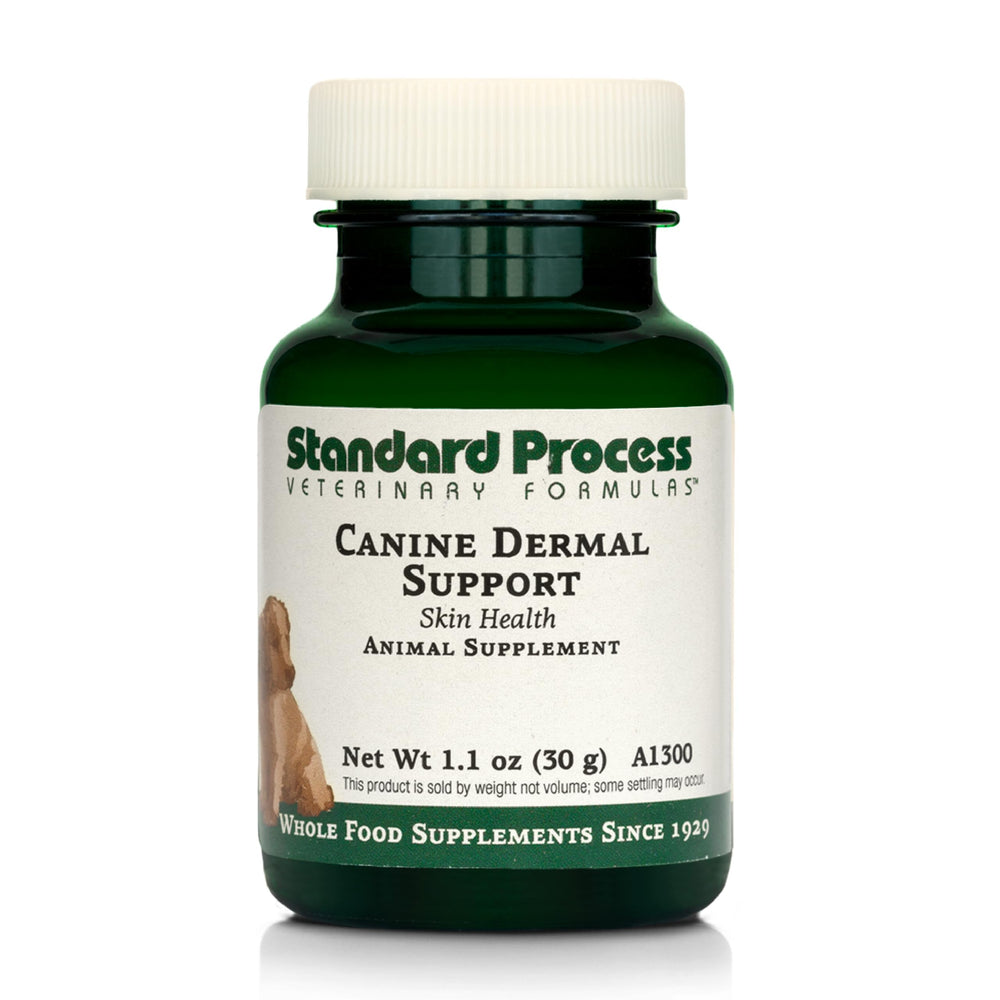 Standard Process Canine Dermal Support bottle closeup highlighting skin and immune health support.