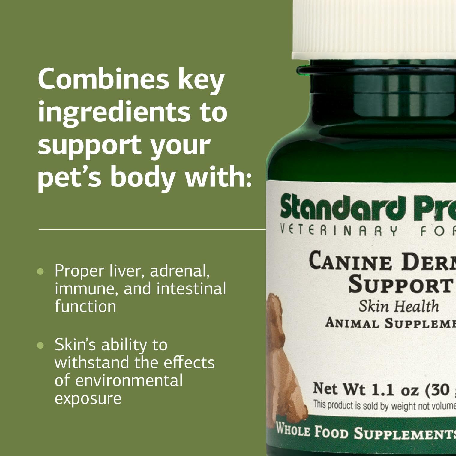 Standard Process Canine Dermal Support measured dosing scoop in use for accurate dog dosing.