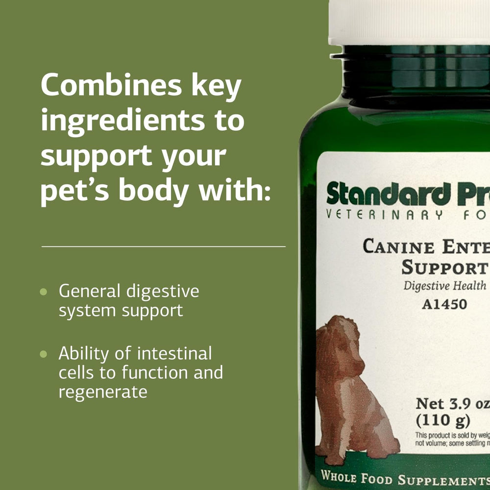 Standard Process Canine Enteric Support dosing scoop close-up showing precise dosing.