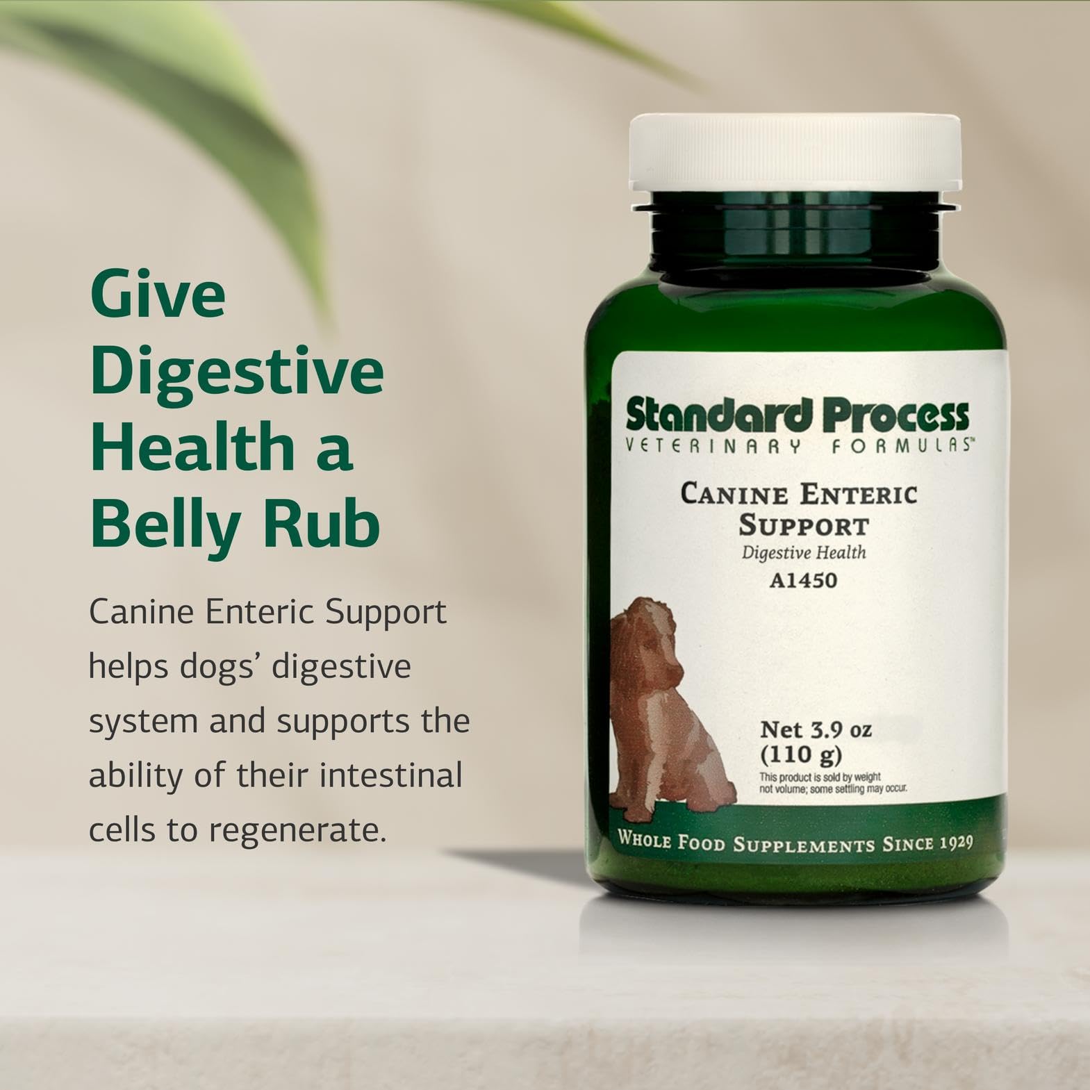 Standard Process Canine Enteric Support dry powder sprinkled on food for easy administration.