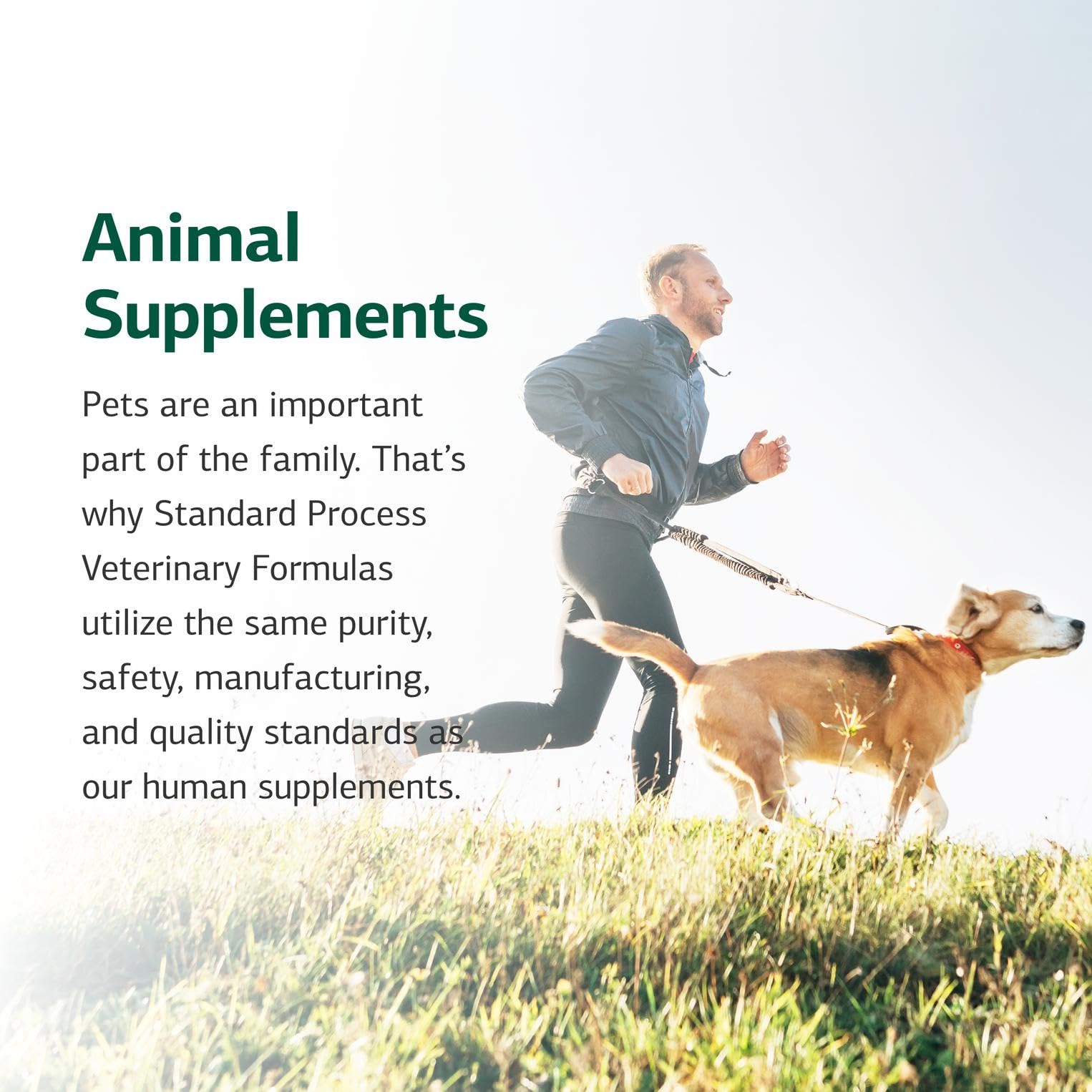 Standard Process Canine Hepatic Support packaging 110 g highlights holistic liver care option.