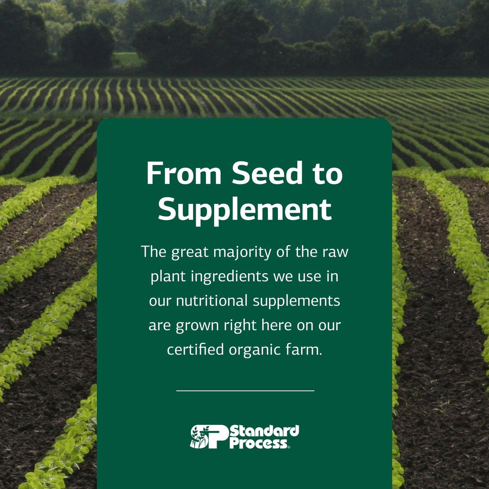 Standard Process Canine Immune System Support whole-food formula; 95-year legacy of quality nutrition