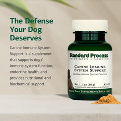 Standard Process zinc and kelp ingredients image signals immune and endocrine support for dogs