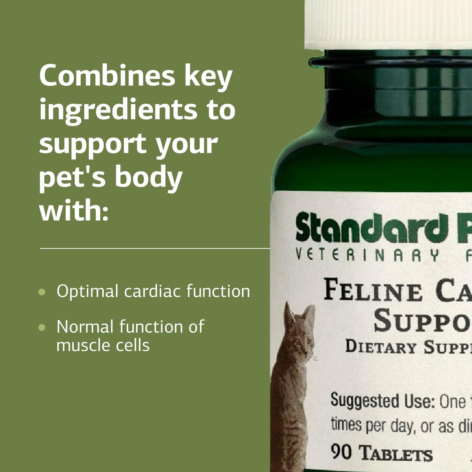 Standard Process Feline Cardiac Support dosing image shows twice-daily schedule.