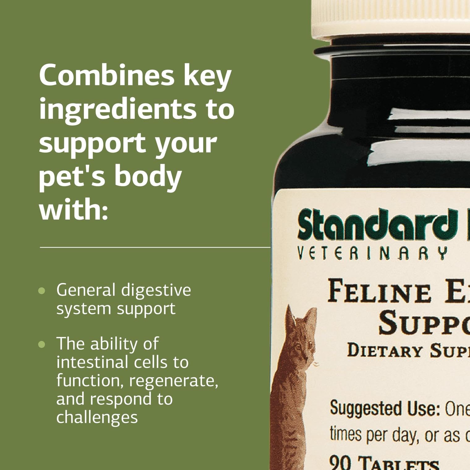 Standard Process Feline Enteric Support administering tablet shown for easy dosing with meals.