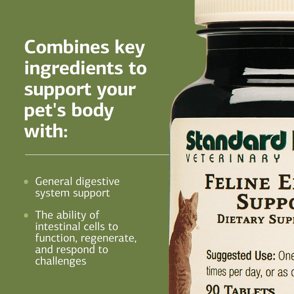 Standard Process Feline Enteric Support administering tablet shown for easy dosing with meals.