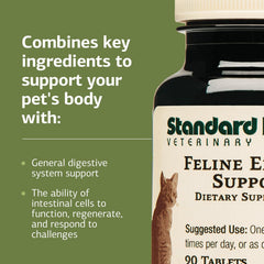 Standard Process Feline Enteric Support administering tablet shown for easy dosing with meals.