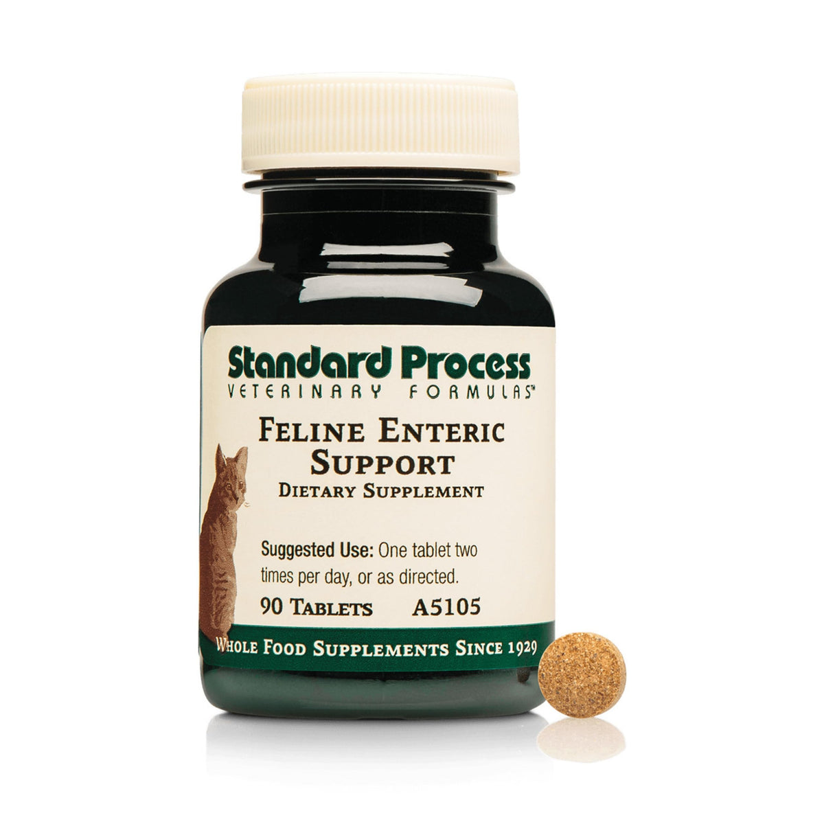 Standard Process Feline Enteric Support tablets shown for easy administration and digestive support.