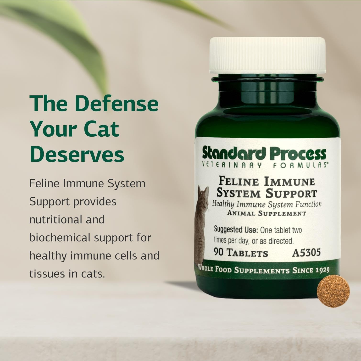Standard Process Inc. feline immune tablets on spoon demonstrates easy dosing and mixing with food