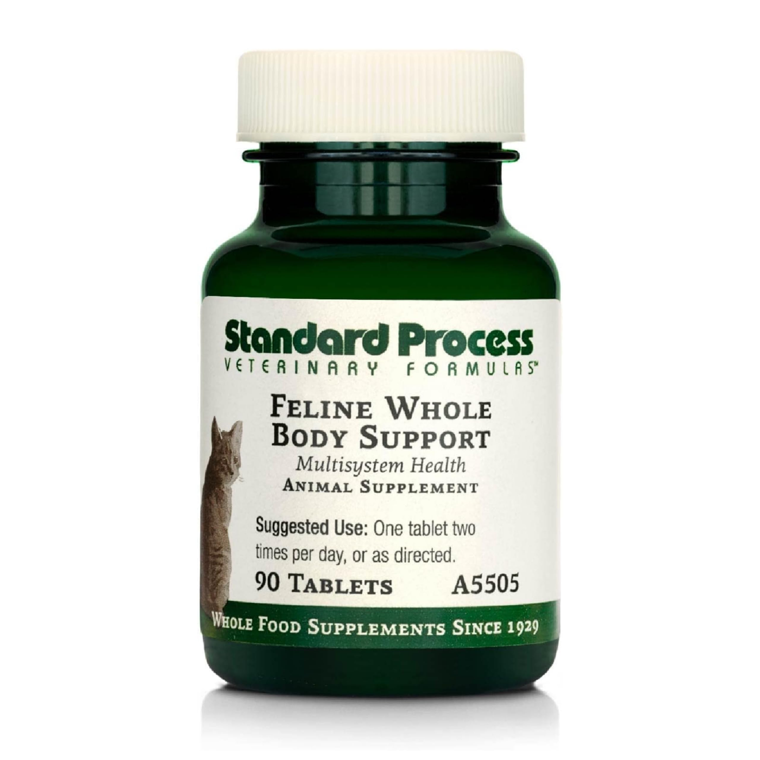 Standard Process Feline Whole Body Support tablet ready to be mixed with cat food.
