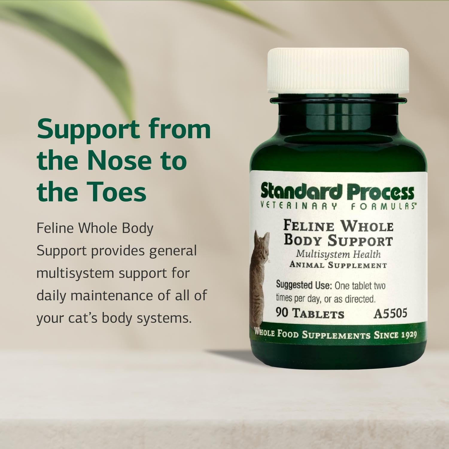 Standard Process Feline Whole Body Support tablets close-up, nutrient-rich.