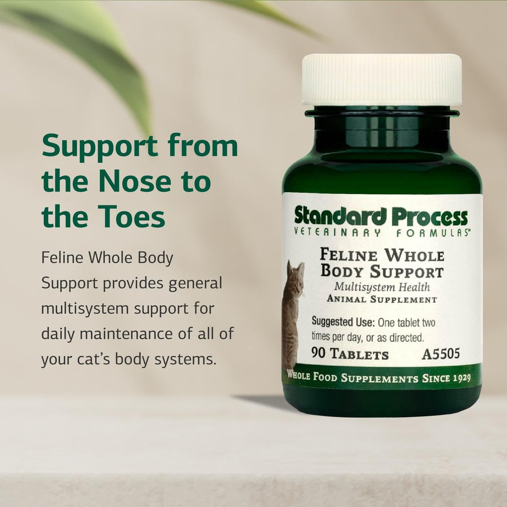 Standard Process Feline Whole Body Support tablets close-up, nutrient-rich.