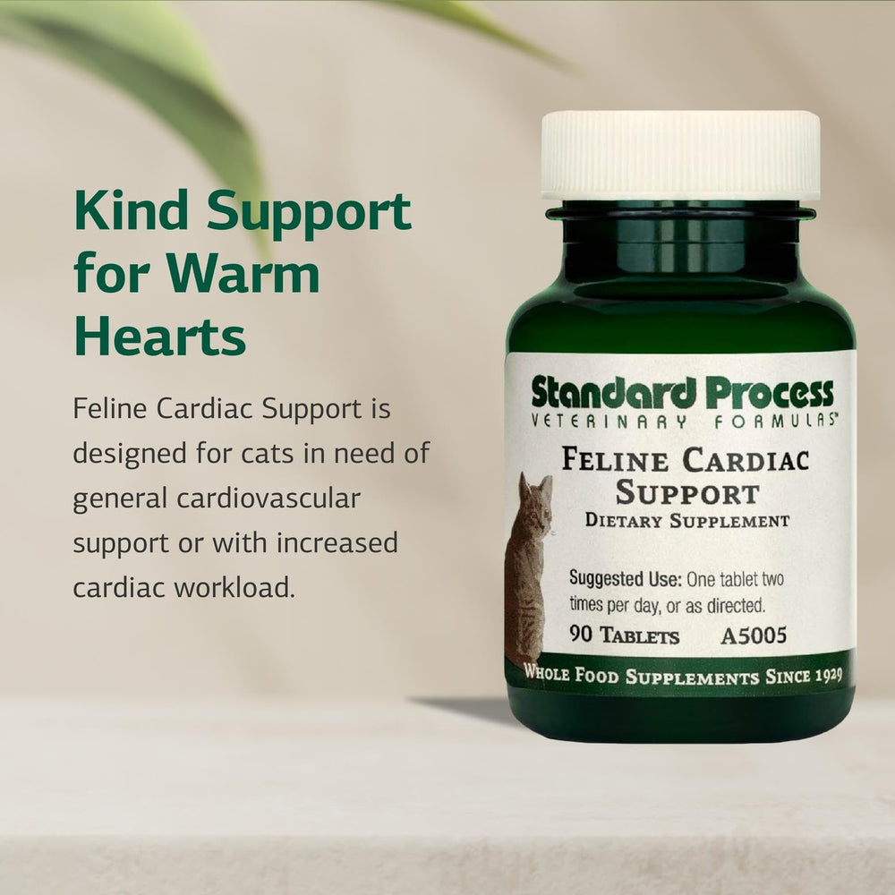 Standard Process Heart Health Cat visualization emphasizes cardiovascular support possibilities.