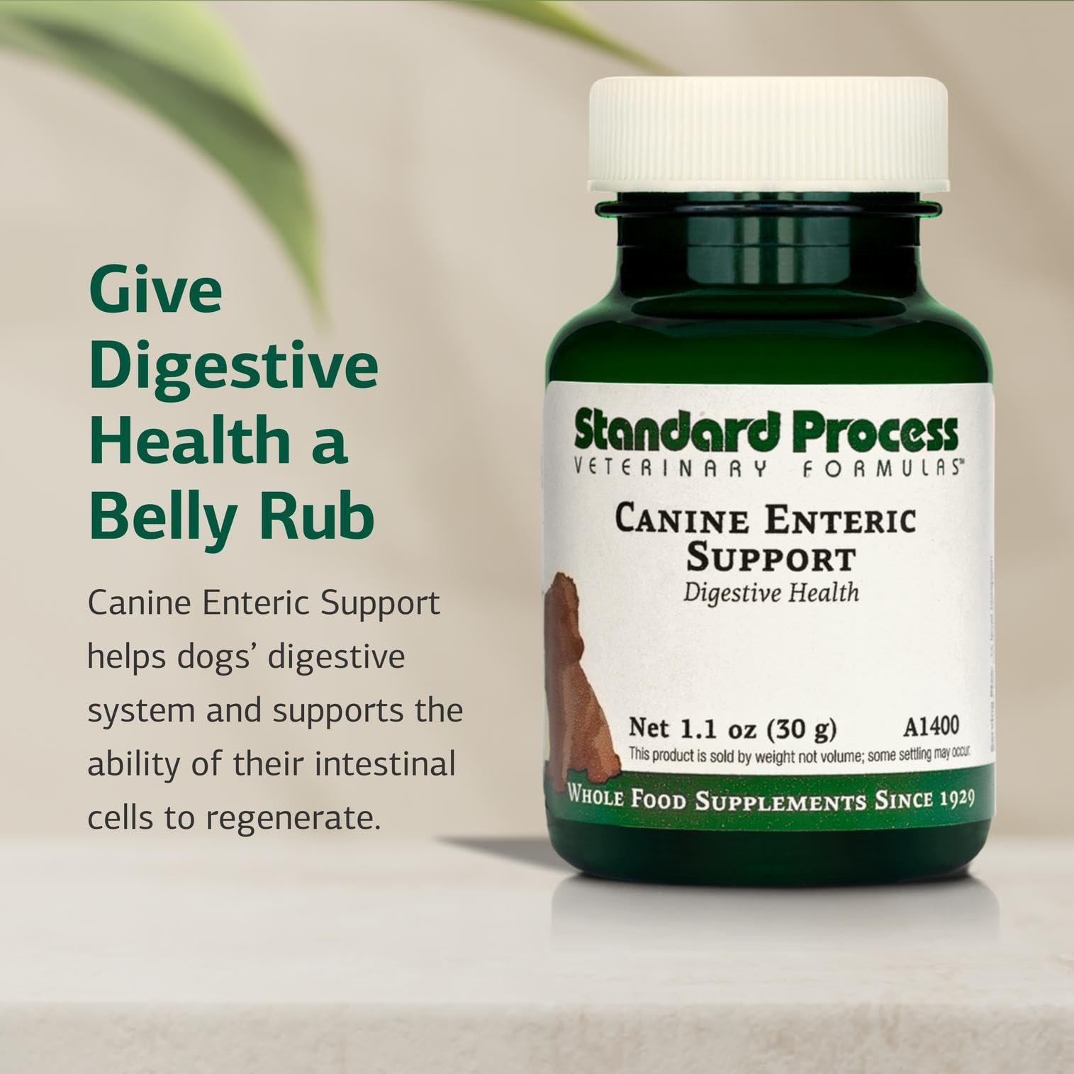 Standard Process Canine Enteric Support dosing scoop illustrating precise canine dosage.